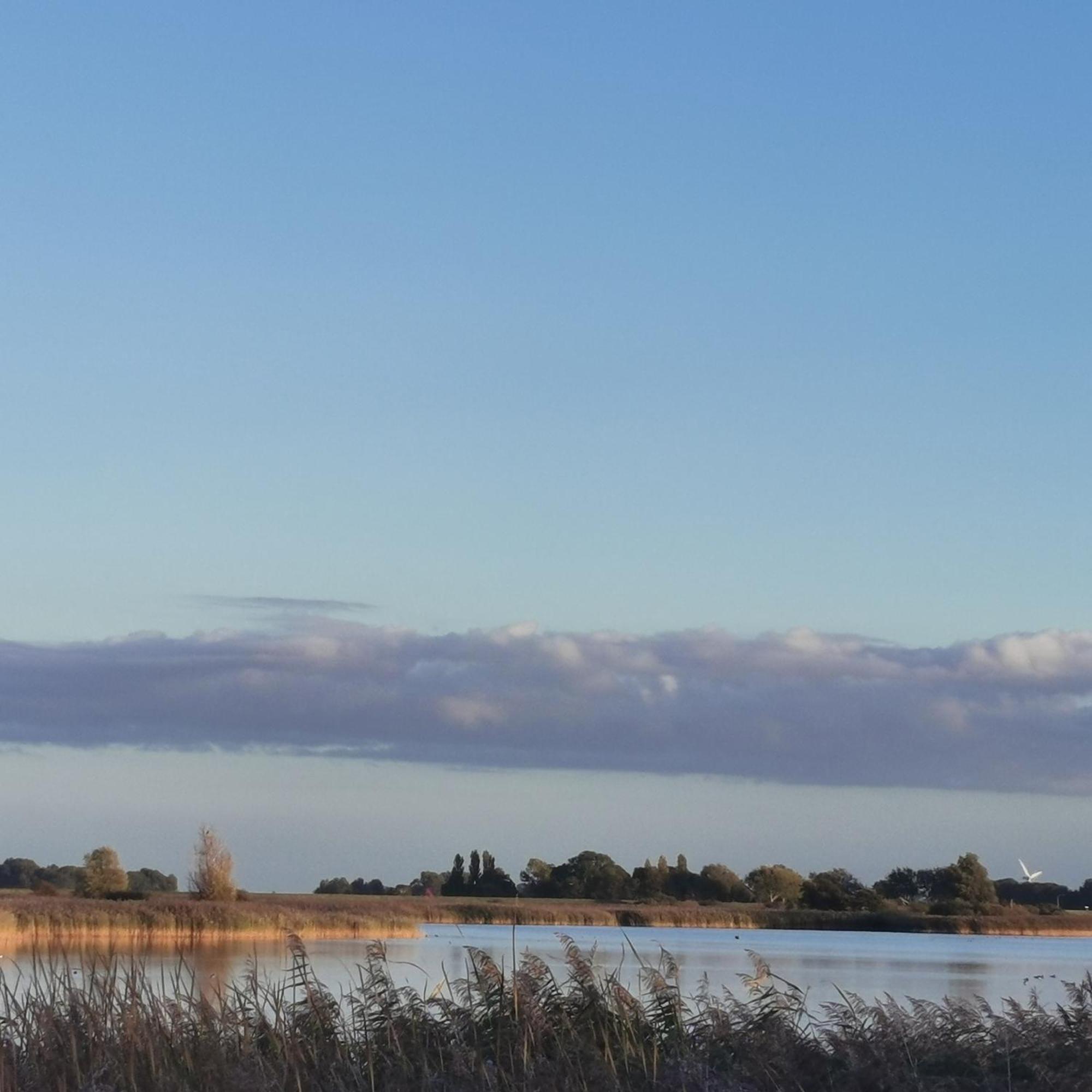 Prachtige Vakantievilla Aan Ijsselmeer 玛库姆 外观 照片